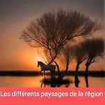营地 Amenage 3 Couchages Sans Sanitaire Proche De La 莫吉奥