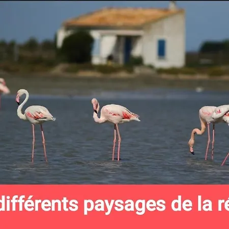 Kemp Amenage 3 Couchages Sans Sanitaire Proche De La Plage, Juste Pour Prevoir Batterie Externe Pour Les Telephones