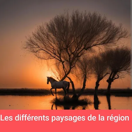 Kemp Amenage 3 Couchages Sans Sanitaire Proche De La Plage, Juste Pour Prevoir Batterie Externe Pour Les Telephones Mauguio