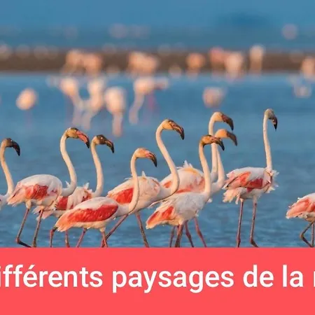 Amenage 3 Couchages Sans Sanitaire Proche De La Camping