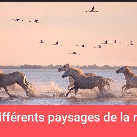 Amenage 3 Couchages Sans Sanitaire Proche De La 营地